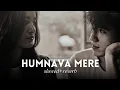 Humnava Mere Tu Hai To [Slowed+Reverb] - Jubin Nutiyal