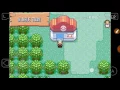 Rare candy and Master ball cheat codes POKEMON EMERALD