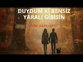 Lagu Duydum ki Bensiz Yaralı Gibisin-Anatolian rock  spirit (Caver)