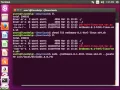 How to install Netbeans and Java JDK in Ubuntu