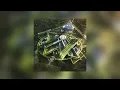 Alan Walker & Ina Wroldsen - Barcelona