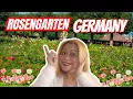 Download Lagu Experience Tranquility at the Rosengarten: A Floral Haven in Bamberg\