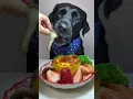 Download Lagu The temperature is rising again, let’s cook! Cute pet debut plan Labrador Oh my god it smells so g