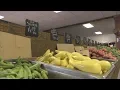 Program Helps Make More Local Produce Available in Albany Georgia Area