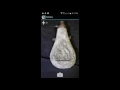 Auction Flex Mobile Demo
