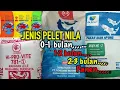 Download Lagu PELET ATAU PAKAN NILA DARI AWAL SAMPAI PANEN // BUDIDAYA NILA