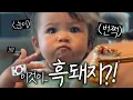Download Lagu 미국에서 온 아기가 한국 흑돼지를 처음 먹고 보인 반응 ㅋㅋㅋ