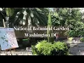 Walk With Us Through The National Botanical Garden in Washington DC
