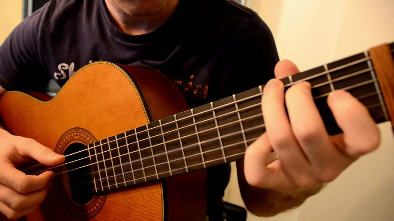 Flightless Bird Fingerstyle cover