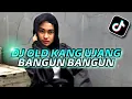 Download Lagu Dj Old Hayu Bangun - Kang Ujang Bangun Bangun Slow Beat Koplo Terbaru
