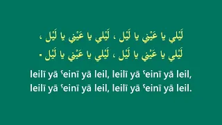 Dania Leiley ليلي Karaoke Original Key 