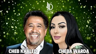                                                    شاب خالد   شابة وردة دندنها