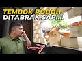 Download Lagu ASRAMA PUTRI BIKIN ULAH LAGI, TEMBOK KANDANG SAMPE ROBOH GAES..!