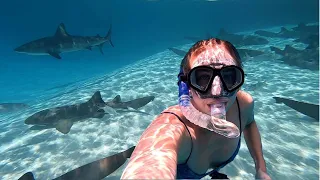 Spearing LIONFISH, ATTACK of the Sharks! (jk) In Highborne Cay:) [S1:E09]