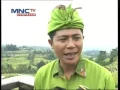 Lagu JATILUWIH AGRICULTURE FESTIVAL LINTAS BALI MNCTV BALI