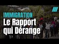 Download Lagu What if immigration slowed down France?