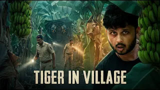 Tiger in Village