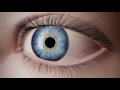 Eye Exam Chicago Target Optical