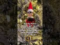 How to Bring The Magic Back To Elf On The Shelf