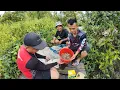 Download Lagu Tangkap Udang  Di Sungai Kecil(Ngempang)//Rezeki Bulih Setengah Baldi//Cebin Ketuai Kami