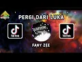 Download Lagu DJ PERGI DARI LUKA FANY ZEE MIX TERBARU