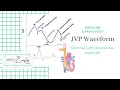 The JVP Waveform and its abnormalities made Easy MED IT EASY