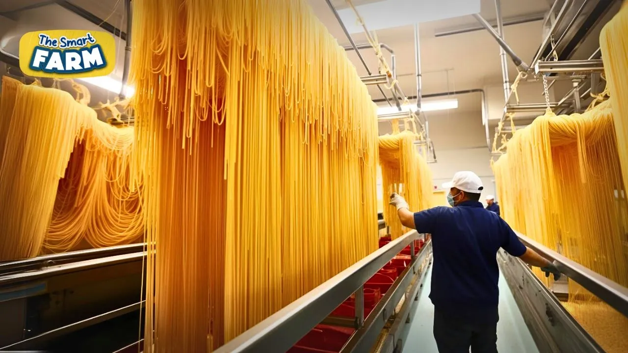 Outline Video How Spaghetti Noodles Are Made: INCREDIBLE Spaghetti Factory!