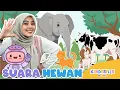 Download Lagu Suara Hewan - Lagu Anak dan Balita Indonesia | Original Song - Kinderflix Music