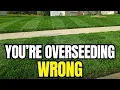Overseeding Your Lawn Wrong Here s What Actually Works