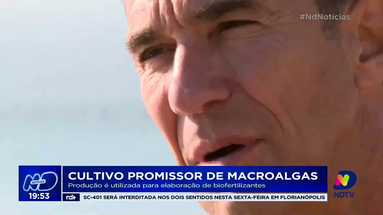 Cultivo de macroalgas no Litoral catarinense impulsiona a produção de biofertilizantes