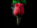 Download Lagu Letto - Ruang Rindu
