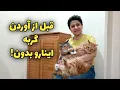 Download Lagu گربه می خوای؟ اول این ویدیو رو ببین!