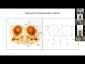 Morphological Evolution Taxonomy 8 Jeremy Wilson