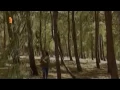 اعاتبك على ايه محمد محيي 1994