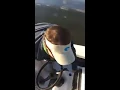 Topwater Action April 11 2017 Part 1 - Haddrell s Point Tackle