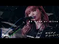 ЯeaL 『ライトアップアンビバレンツ』
