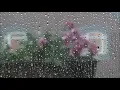 Download Lagu 30 minutes sunday morning rain sounds | 30 menit suara hujan di pagi hari