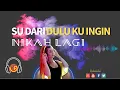 Download Lagu Su Dari Dulu Ku Ingin Nikah Lagi || Lagu Acara Keren dan Lucu 😂