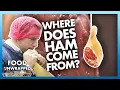 Where does Ham come from