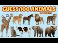 100 Animals for Toddlers Guess the Animal Names for Kids Fun English Vocabulary Learning