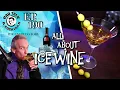 Download Lagu WHAT IS ICEWINE? - All About Icewine | BAR TALK AND COCKTAILS