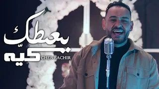                                                           الشاب بشير   يعطيك كي ه دندنها