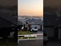 Ribuan Burung Menyerbu Kota di Australia