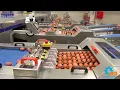 BG DX600 Egg Grading and Packing Machine Egg sorter