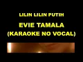 Download Lagu LILIN-LILIN PUTIH - EVIE TAMALA (KARAOKE NO VOCAL)