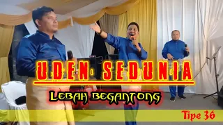 Download Udin Sedunia.Banyak macam Udin | cover Trio lebah TP 36 Minimalis MP3