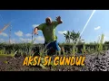 Download Lagu [FULL] AKSI PETUALANGAN SI GUNDUL | JEJAK SI GUNDUL (11/03/25)