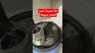 احلا مصيدة لصيد الحمام اعطونه رايكم 