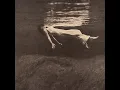 Darn That Dream