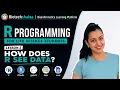 Lesson 2 How does R see Data R Programming for Life Science Students